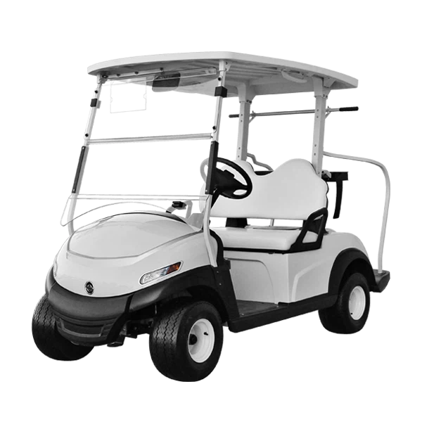 2 Passenger golf cart Customized 2 Passenger golf cart Customized